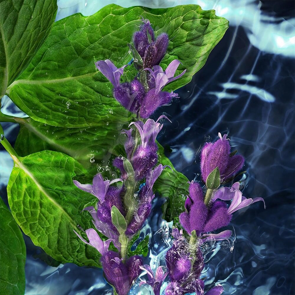 Davidoff Cool Water All-Over Body 150ml