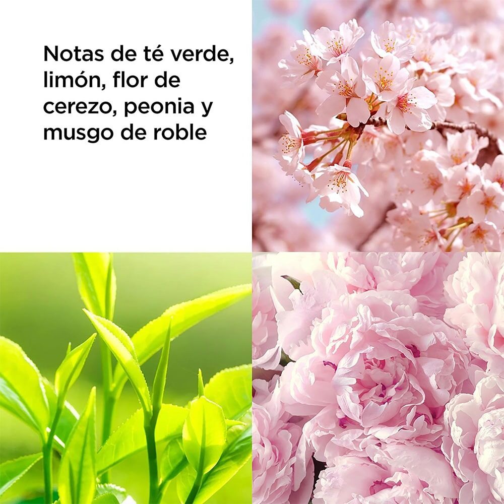 Elizabeth Arden Green Tea Cherry Blossom Body Mist 236ml