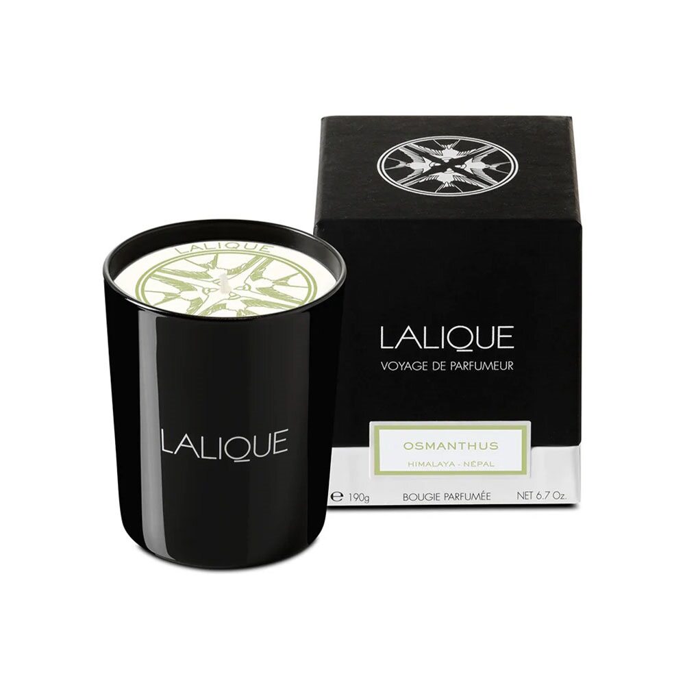 Lalique Candle 190g - Osmanthus Himalaya