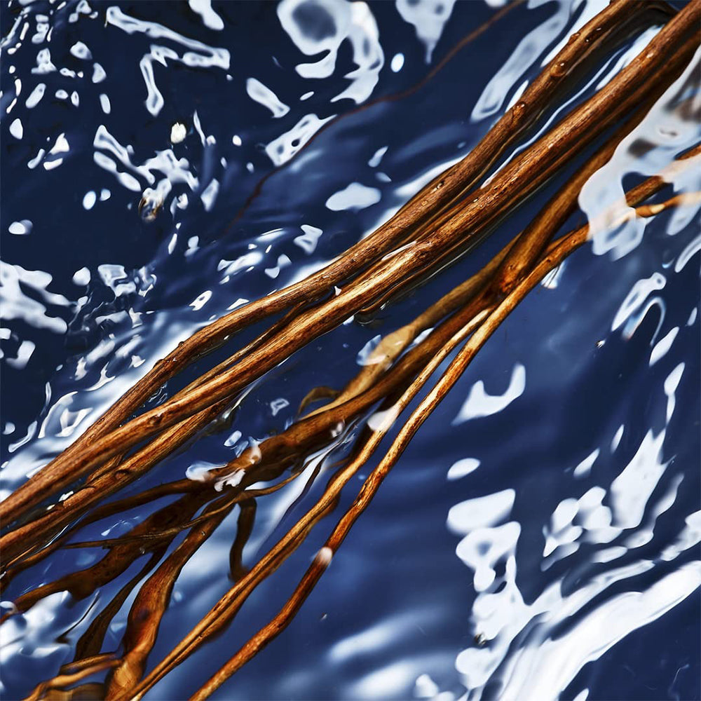 Davidoff Cool Water Eau de Toilette 125ml - Oceanic Edition