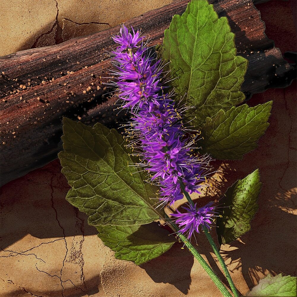 Davidoff Zino Deodorant Stick 75ml