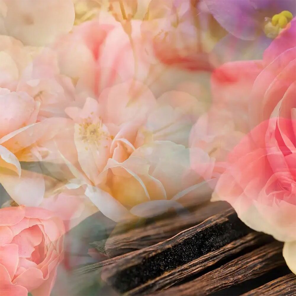 Dr. Vranjes Firenze Petali Di Rose Diffuser 500ml