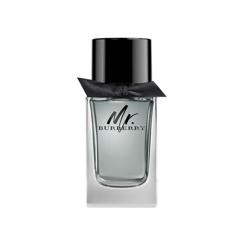 Burberry Mr. Burberry Eau de Toilette 100ml