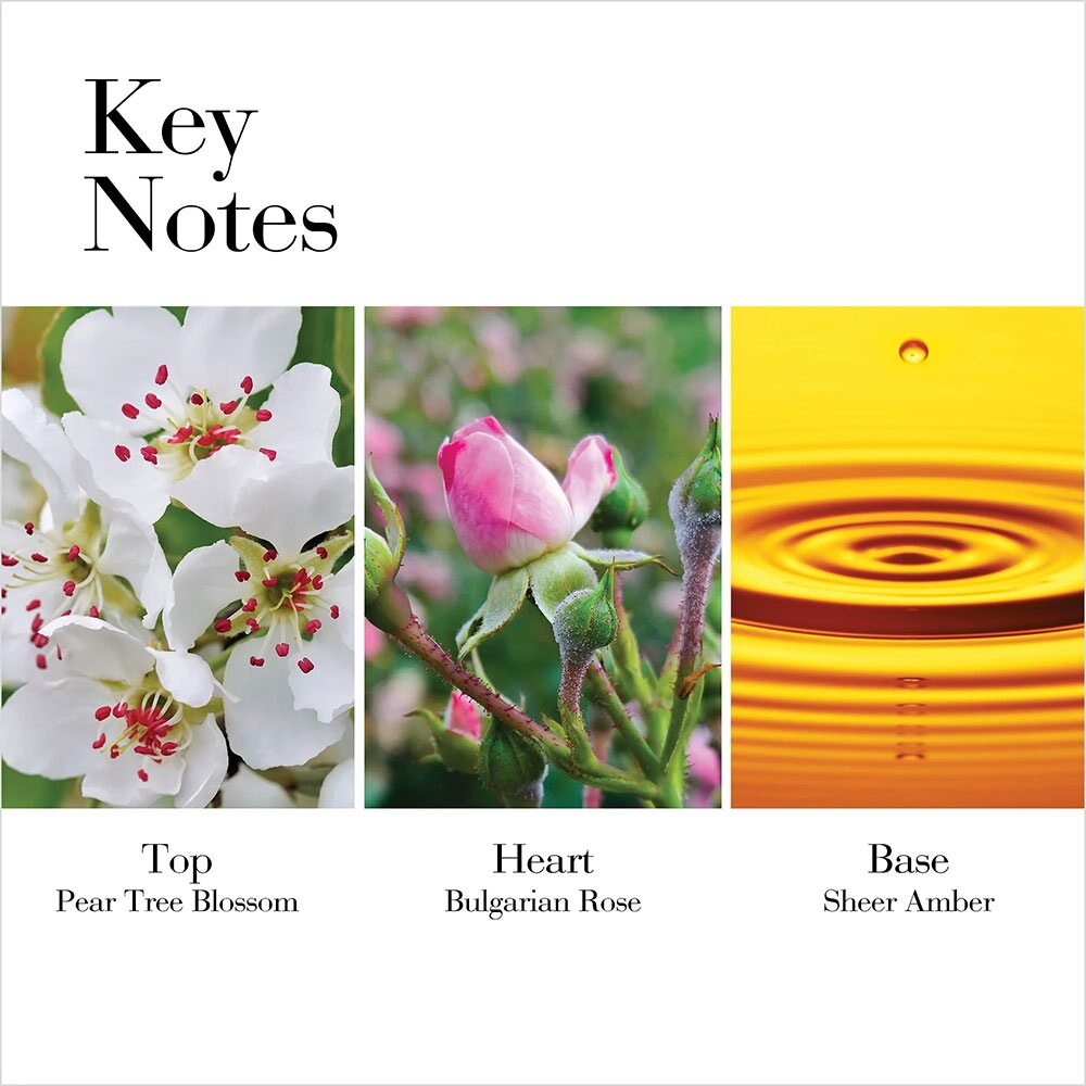 Elizabeth Arden White Tea Wild Rose Eau de Toilette 50ml