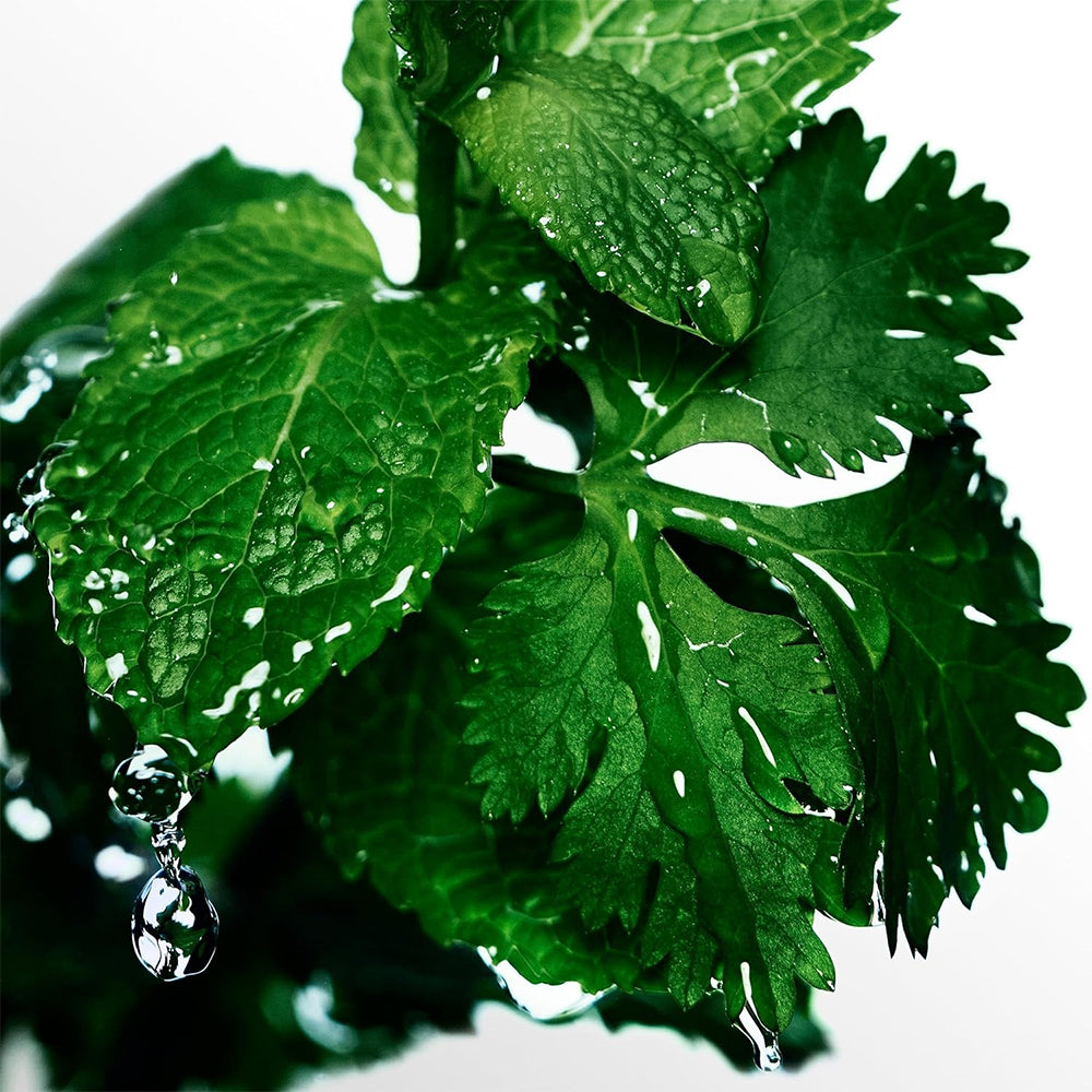 Davidoff Cool Water Eau de Toilette 40ml