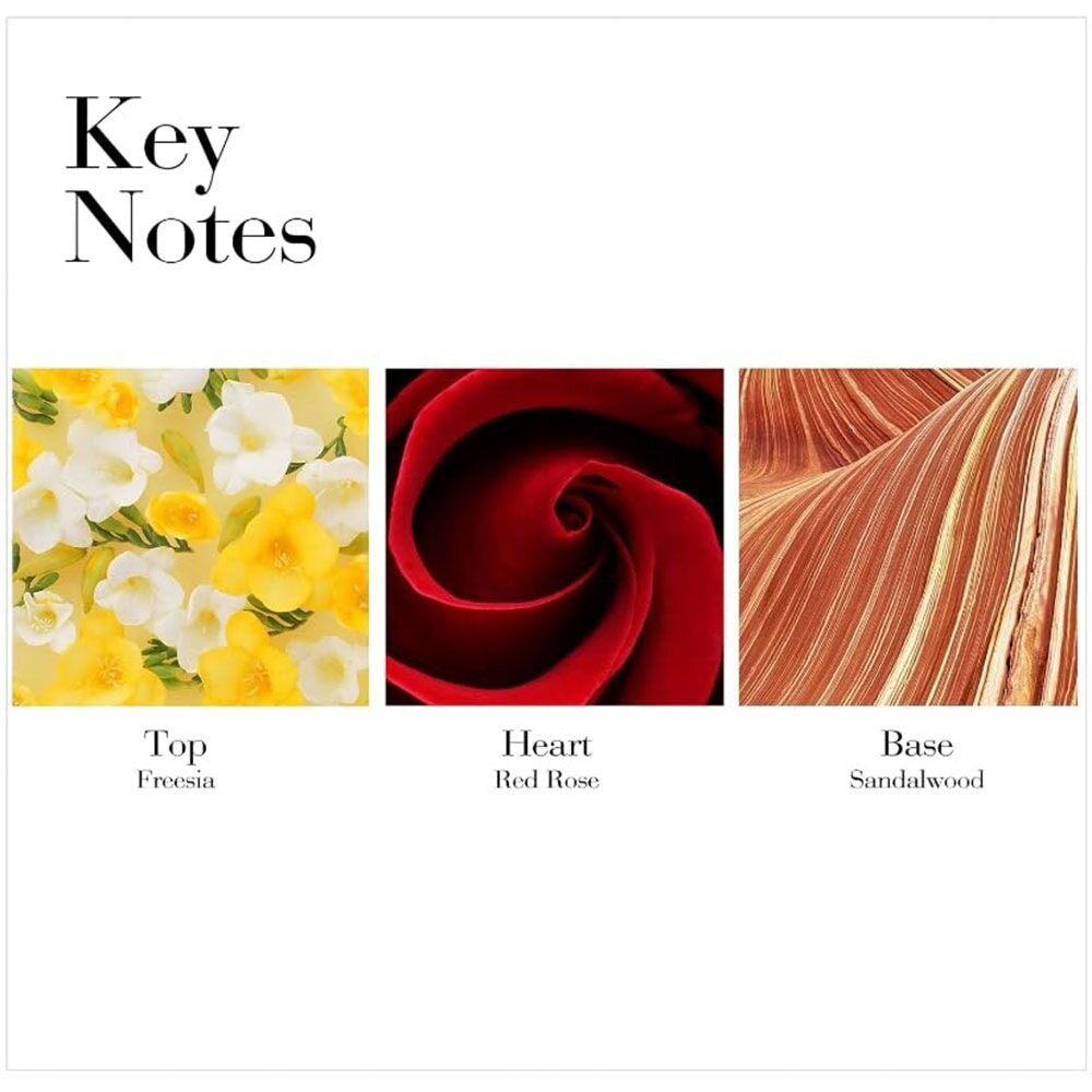 Elizabeth Arden Red Door Perfumed Body Powder 75g