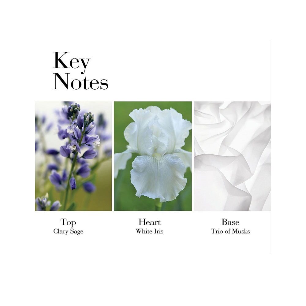 Elizabeth Arden White Tea Eau de Toilette 100ml