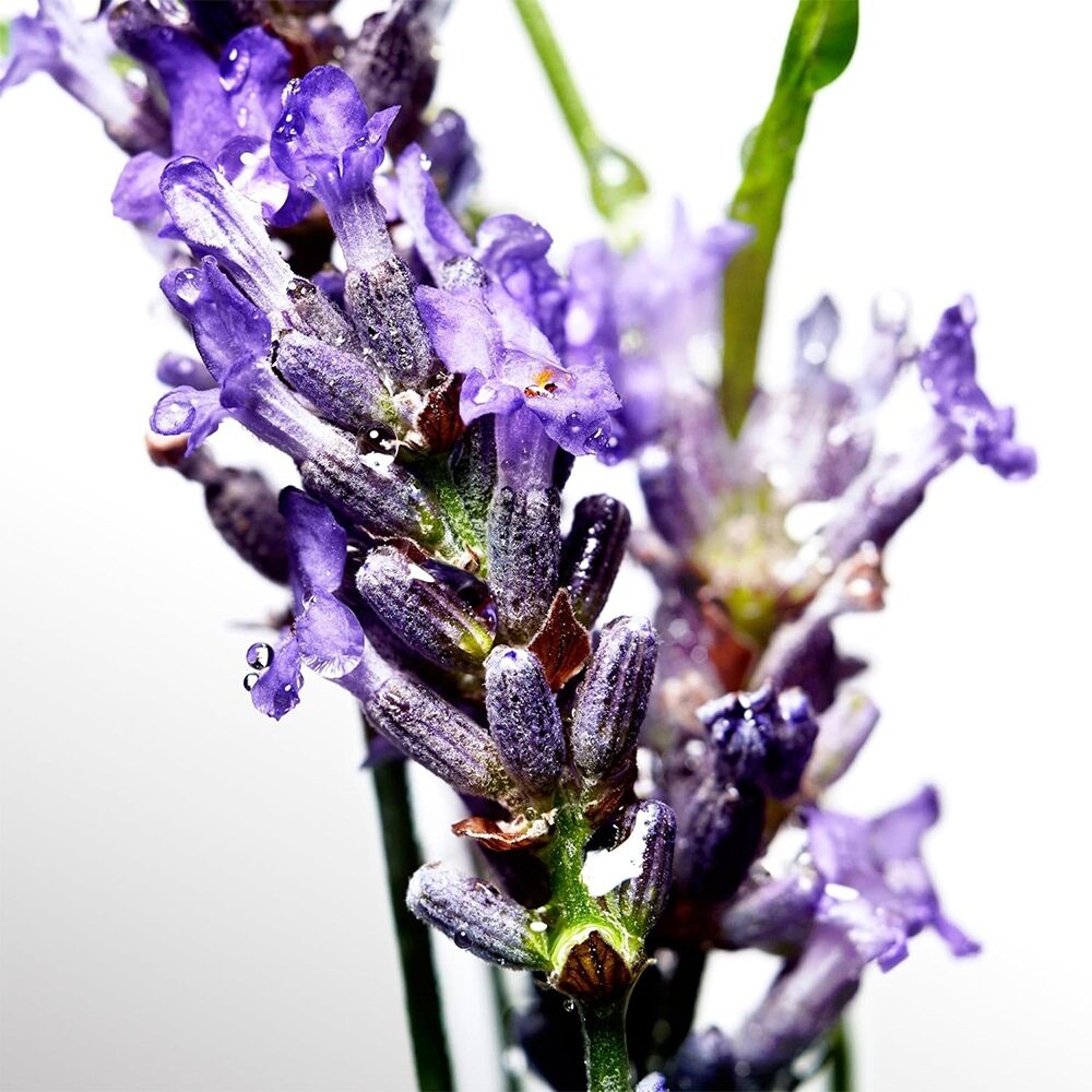 Davidoff Cool Water Shower Gel 150ml