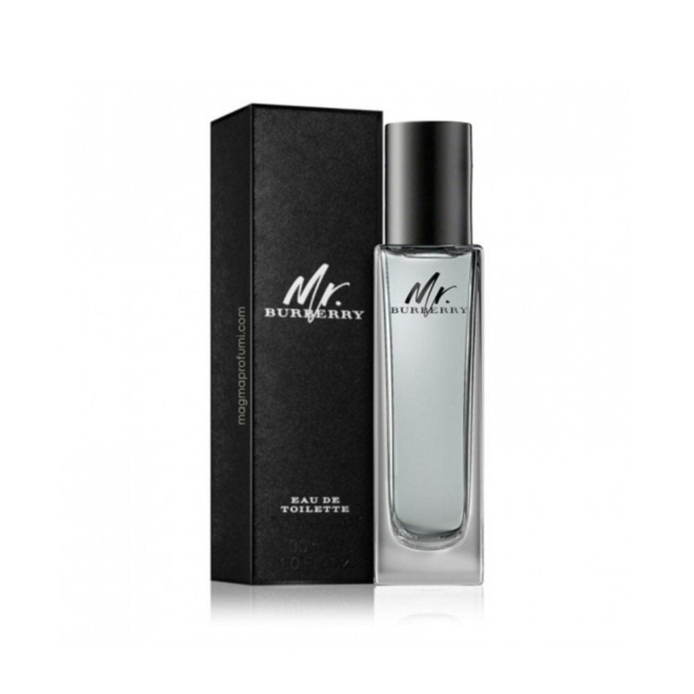 Burberry Mr. Burberry Eau de Toilette 30ml