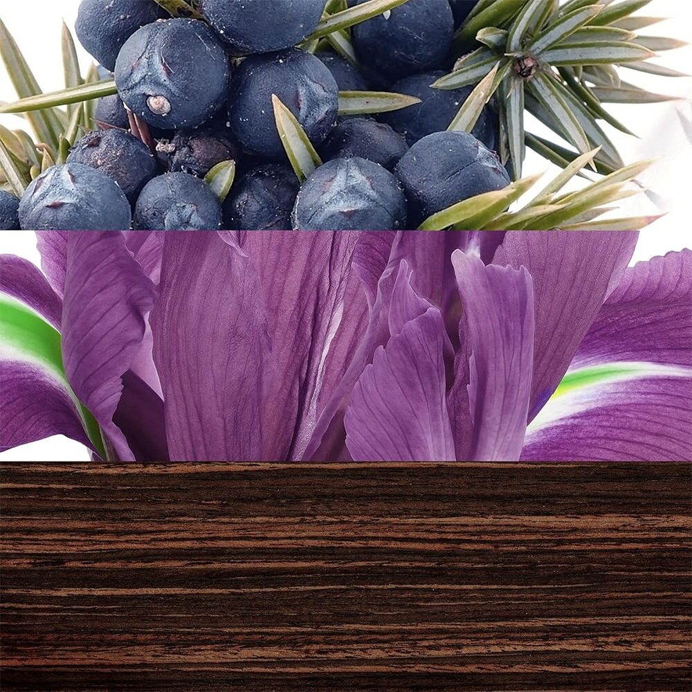 Davidoff The Game Eau de Toilette 100ml